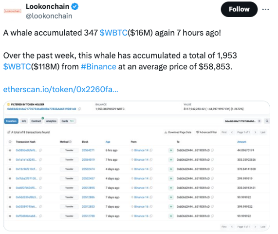 δ֪ٹ1,600ԪWrapped Bitcoin ͼƬ