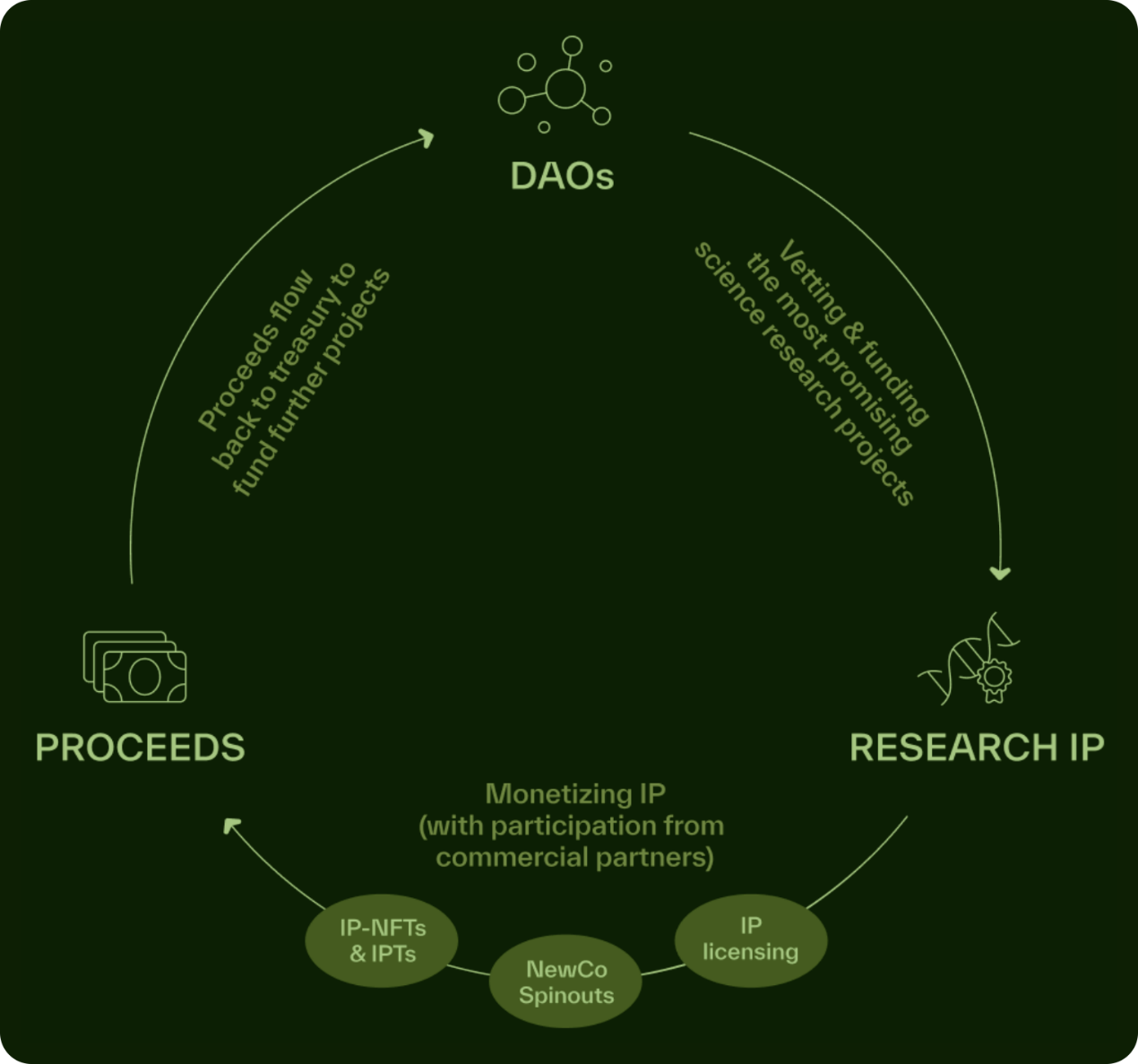 BIO ProtocolDeSciĿθ¿ ͼƬ